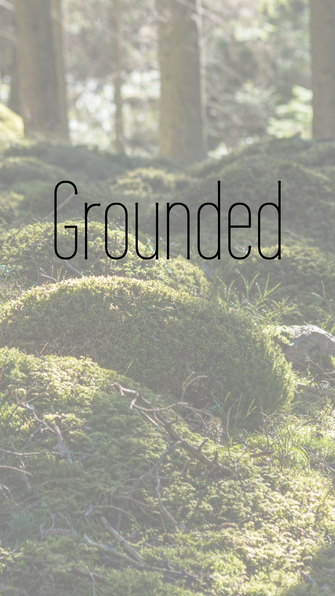 Grounded - Late Summer '26