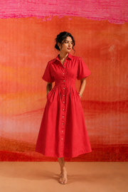 Brandy Coral